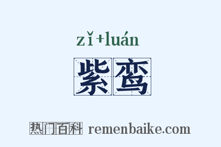 紫鸾是什么意思的图片